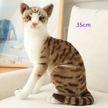 Load image into Gallery viewer, Stuffed Lifelike Siamese Cats Plush Toy simulation American Shorthair Cute Cat Doll Pet Toys Home Decor Gift For Girls birthday
