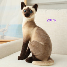 Load image into Gallery viewer, Stuffed Lifelike Siamese Cats Plush Toy simulation American Shorthair Cute Cat Doll Pet Toys Home Decor Gift For Girls birthday
