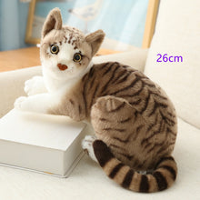Load image into Gallery viewer, Stuffed Lifelike Siamese Cats Plush Toy simulation American Shorthair Cute Cat Doll Pet Toys Home Decor Gift For Girls birthday
