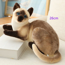 Load image into Gallery viewer, Stuffed Lifelike Siamese Cats Plush Toy simulation American Shorthair Cute Cat Doll Pet Toys Home Decor Gift For Girls birthday
