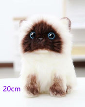 Load image into Gallery viewer, Stuffed Lifelike Siamese Cats Plush Toy simulation American Shorthair Cute Cat Doll Pet Toys Home Decor Gift For Girls birthday
