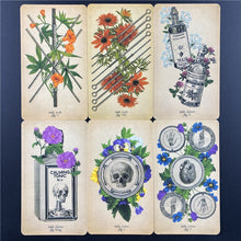 Load image into Gallery viewer, The Antique Anatomy Tarot  Cards Deck Full English Oracle  Divination Fate Family Party Board Game
