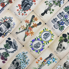 Load image into Gallery viewer, The Antique Anatomy Tarot  Cards Deck Full English Oracle  Divination Fate Family Party Board Game
