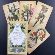Load image into Gallery viewer, The Antique Anatomy Tarot  Cards Deck Full English Oracle  Divination Fate Family Party Board Game
