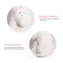 Load image into Gallery viewer, Trending Creative Simulation Hippo Plush Toy Doll Customized Children's Pillow Gift Doll Cute Doll
