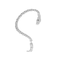 Load image into Gallery viewer, New Gold Plated Snake Shape Zircon Clip Earrings Vintage Punk Geometric Animal Earring for Women Trend Party Jewelry
