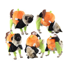 Load image into Gallery viewer, Solu Pet Pumpkin Costume Halloween Funny Pet Pumpkin Costume Pet Role Play Special Event Costume Cute Design
