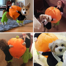 Load image into Gallery viewer, Pet Halloween Cosplay Clothes Funny Pumpkin Dog Costume for Small Dog
