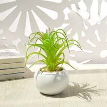 Load image into Gallery viewer, Artificial Succulent Pant Potted Plant (Pot Included) Artificial Flower Bonsai Home Decoration Artificial Plant
