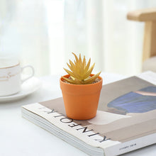 Load image into Gallery viewer, Succulent Plant Bonsai Creative Decoration Gift Flower Plant Interior Decoration
