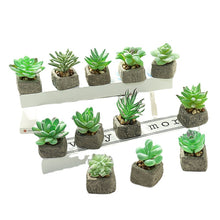 Load image into Gallery viewer, Small Stone Pot Artificial Succulent Pant Potted Plant (Pot Included) Fashion Home Decoration Simulation Plant Artificial Flowers
