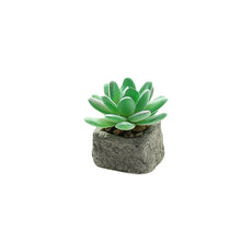 Load image into Gallery viewer, Small Stone Pot Artificial Succulent Pant Potted Plant (Pot Included) Fashion Home Decoration Simulation Plant Artificial Flowers

