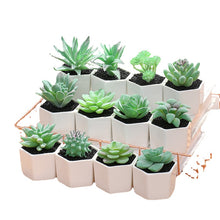 Load image into Gallery viewer, Artificial Succulent Pant Bonsai (Pot Included) Artificial Flower Creative Decoration Artificial Plant
