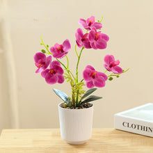 Load image into Gallery viewer, 3D Printing Film Three-Fork Eight-Flower Phalaenopsis Bonsai Artificial Flower Fashion Home Decorations
