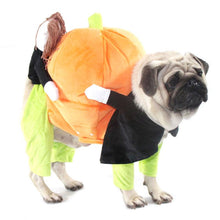 Load image into Gallery viewer, Pet Halloween Cosplay Clothes Funny Pumpkin Dog Costume for Small Dog
