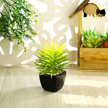 Load image into Gallery viewer, Mini Artificial Succulent Pant Bonsai (Pot Included) Creative Decoration Artificial Flower Yiwu Artificial Plant
