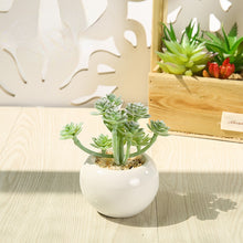 Load image into Gallery viewer, Small round Basin Mini Artificial Succulent Pant Potted Plant (Pot Included) Emulational Flower Decoration
